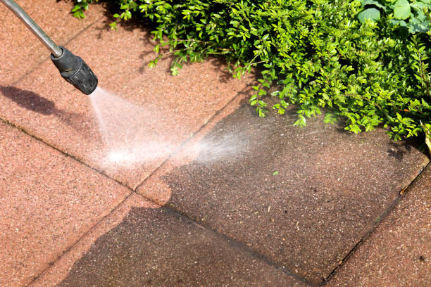 Best Roof Pressure Washing  in South Fulton, TN