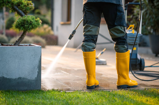 Best Roof Power Washing Services  in South Fulton, TN